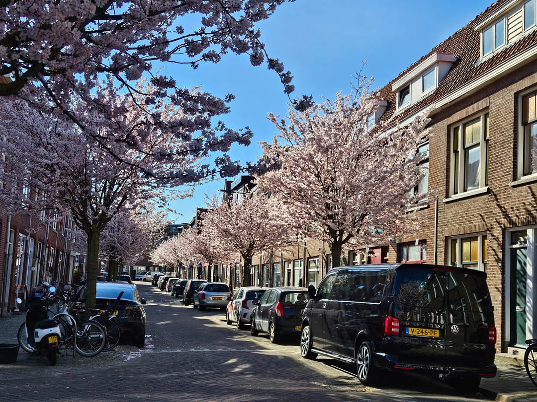 Foto 47 van Nicolaas Beetsstraat 56