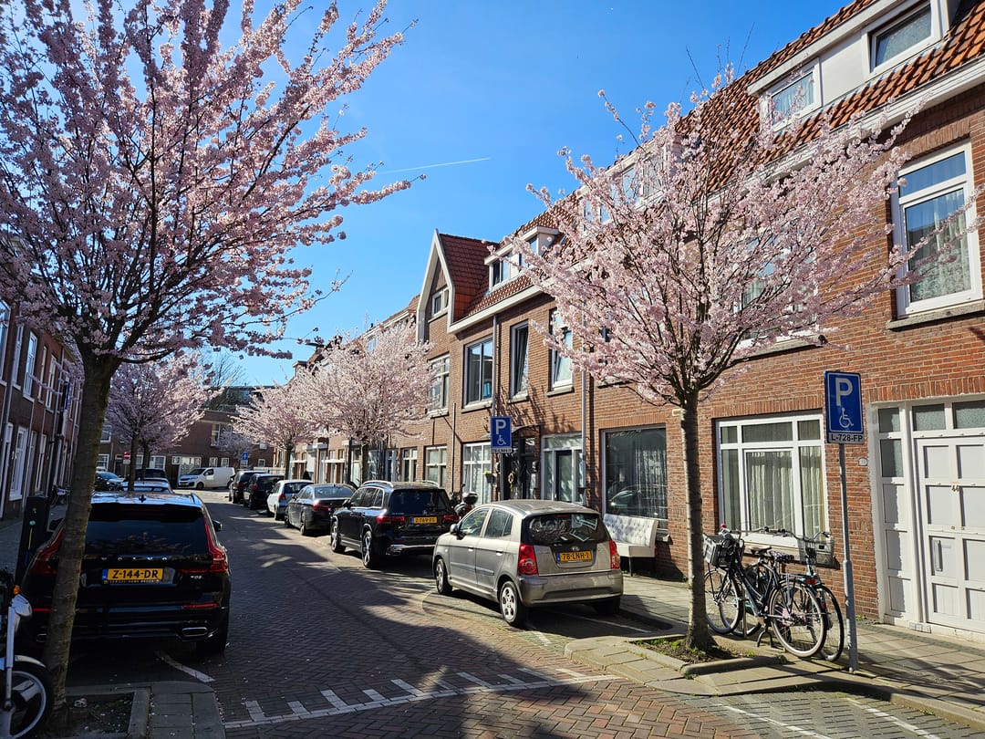 Foto 46 van Nicolaas Beetsstraat 56