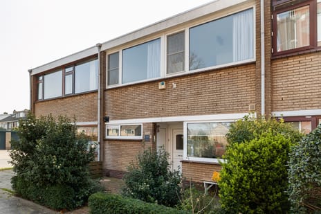 undefined main image