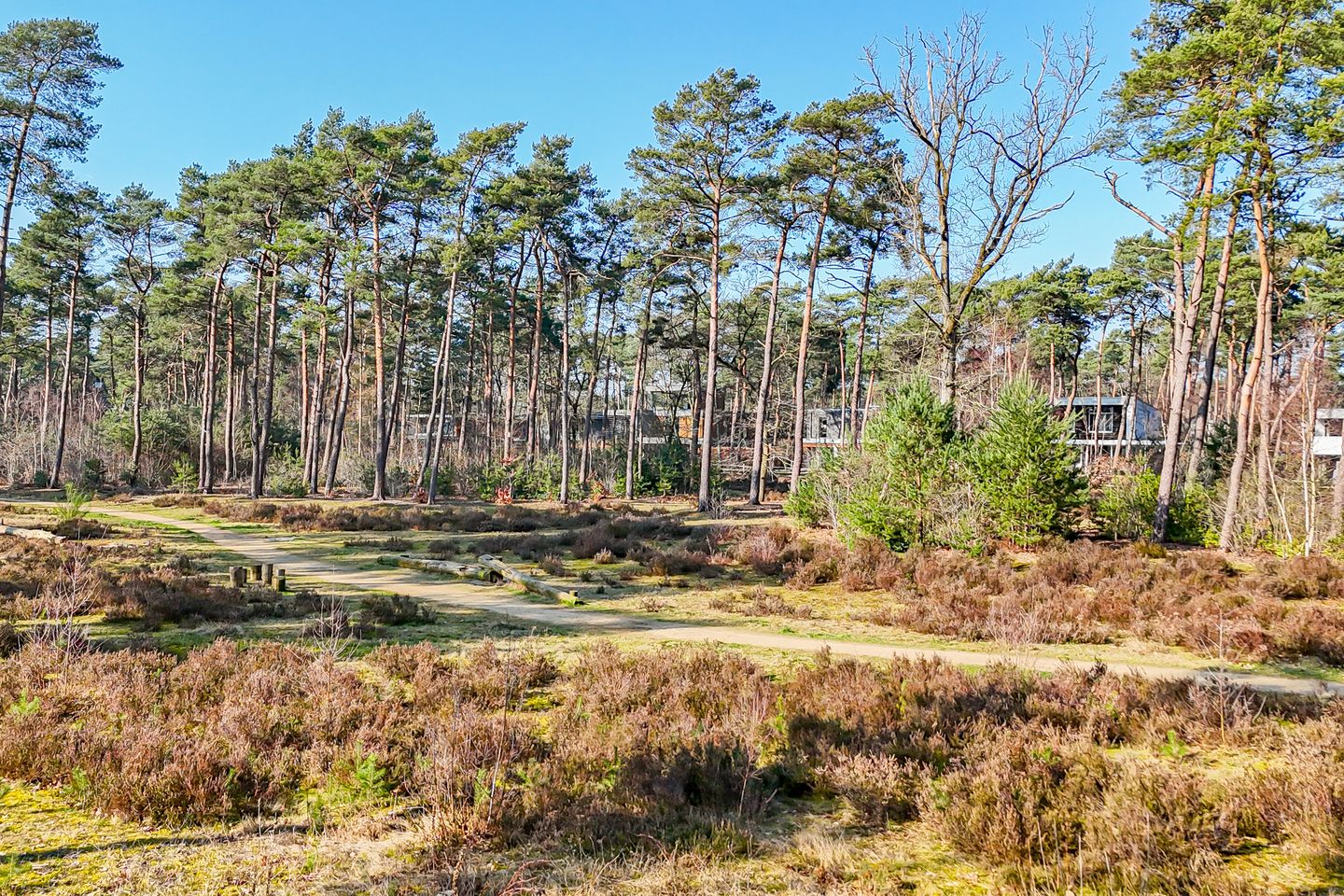 Foto 10 van Prinses Catharina Amalialaan 133