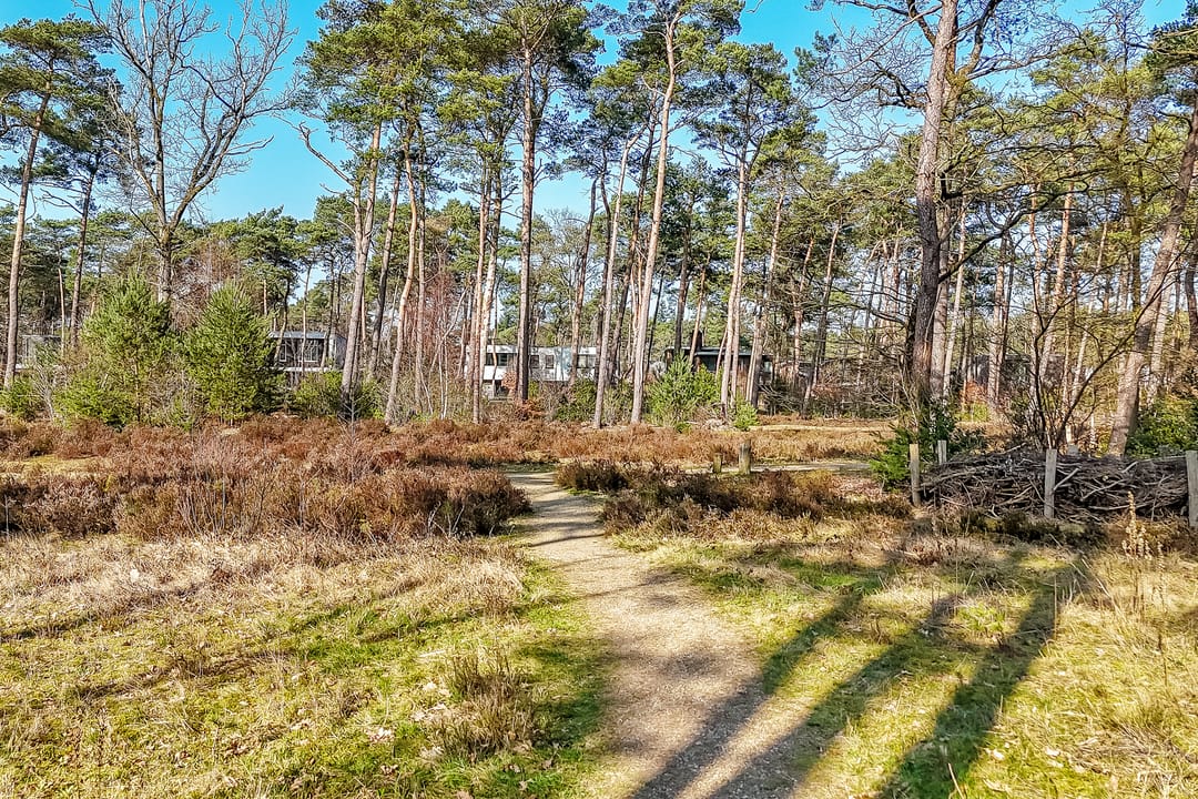 Foto 46 van Prinses Catharina Amalialaan 133