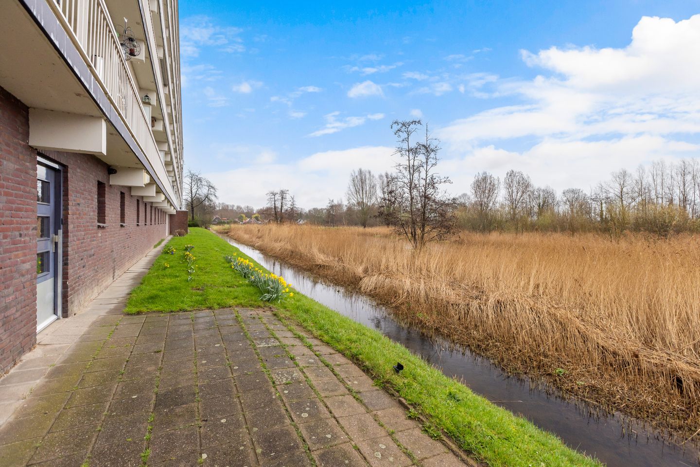 Foto 35 van Leeuwstraat 112