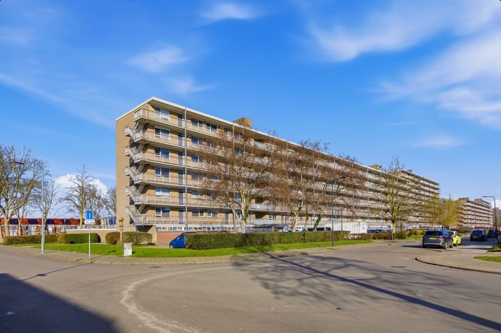 Hobokenstraat 47 main image