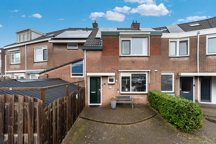 Photo 4 of Punter 75