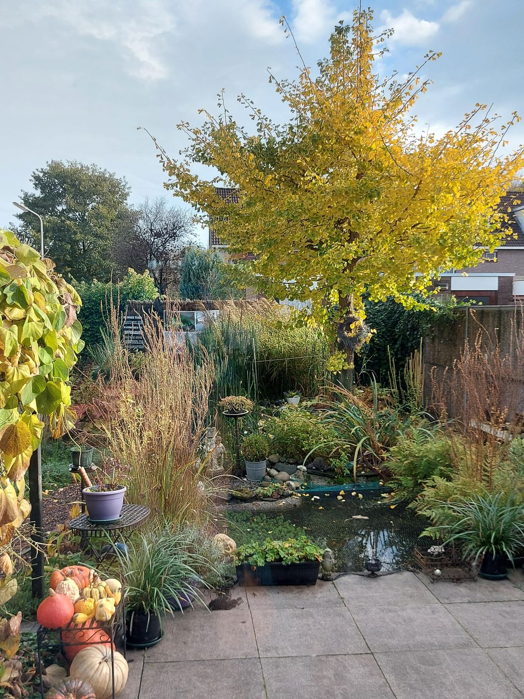 Foto 32 van Marsmanlaan 14