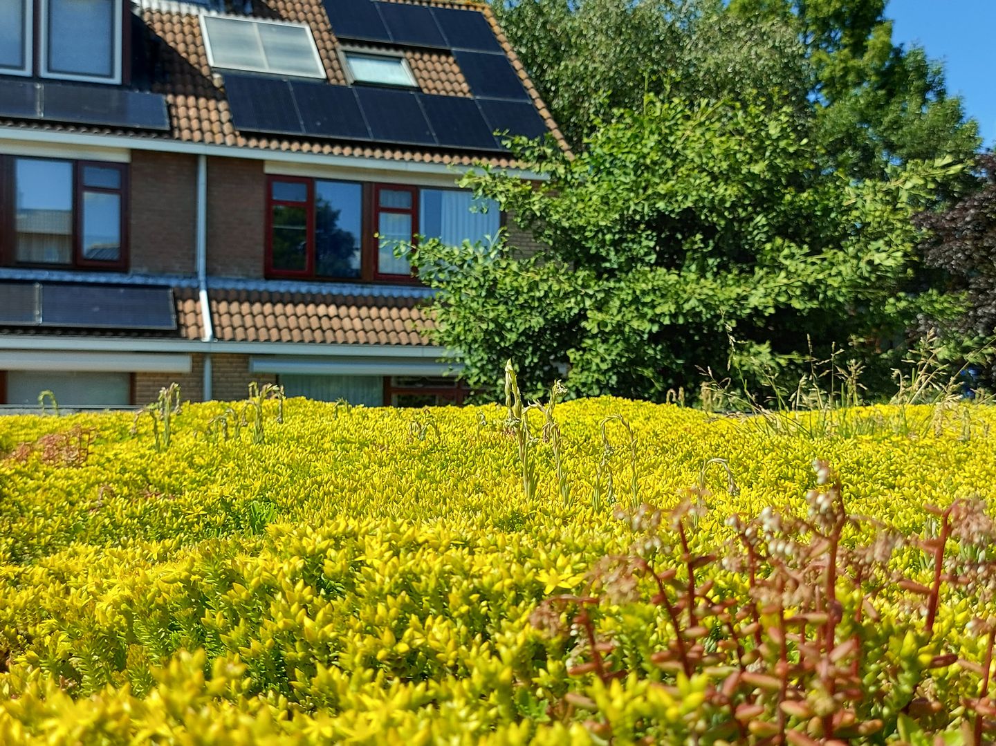 Foto 35 van Marsmanlaan 14