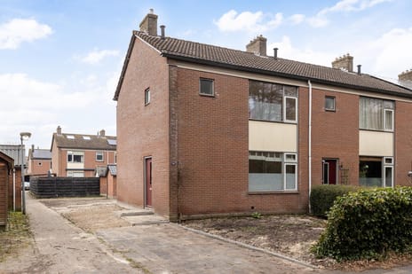 undefined main image