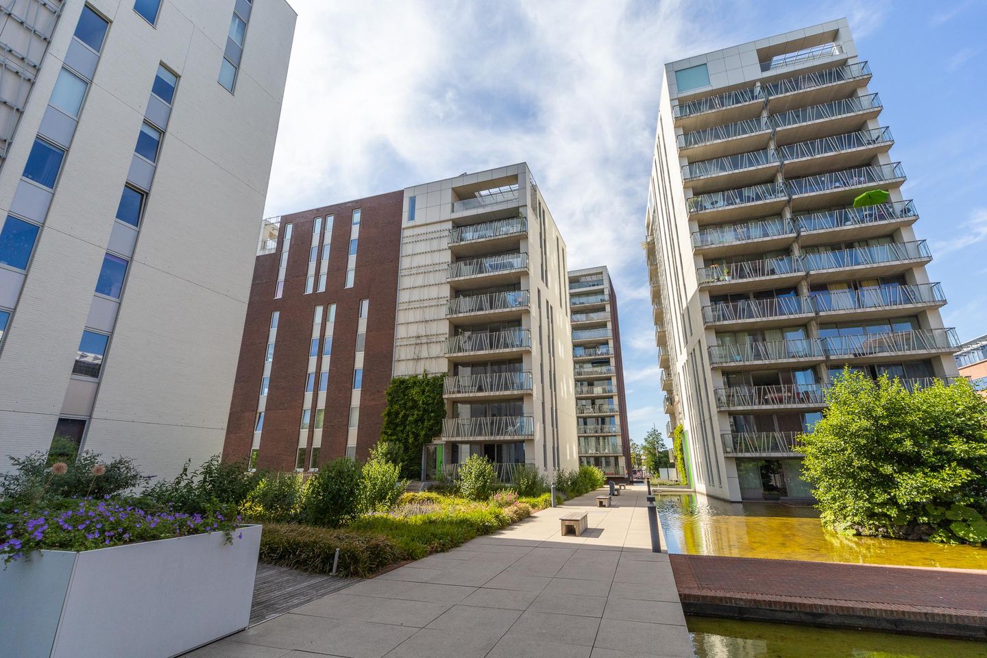 Foto 25 van Schapenkamp 143