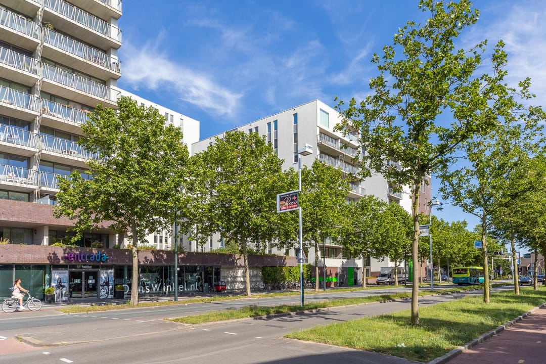 Foto 28 van Schapenkamp 143