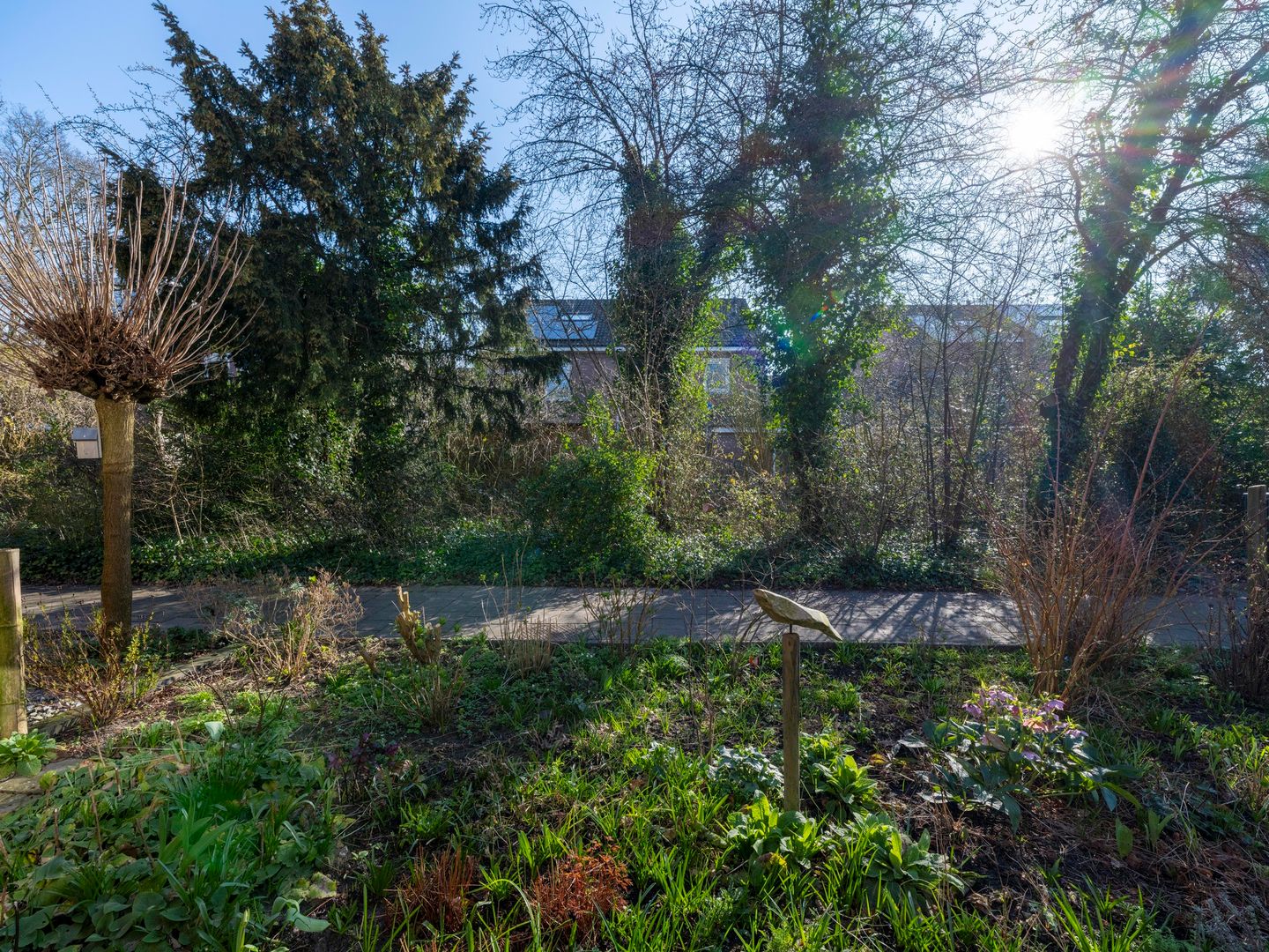 Photo 5 of Moezel 45