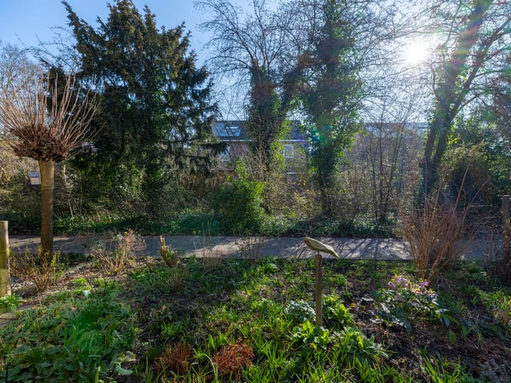 Photo 5 of Moezel 45