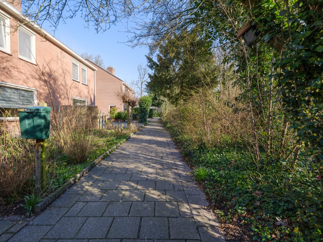 Photo 46 of Moezel 45