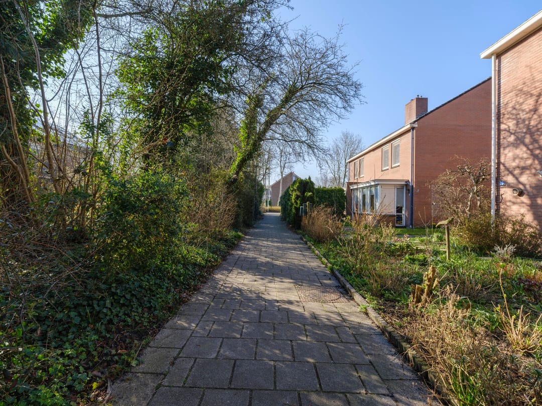 Photo 47 of Moezel 45