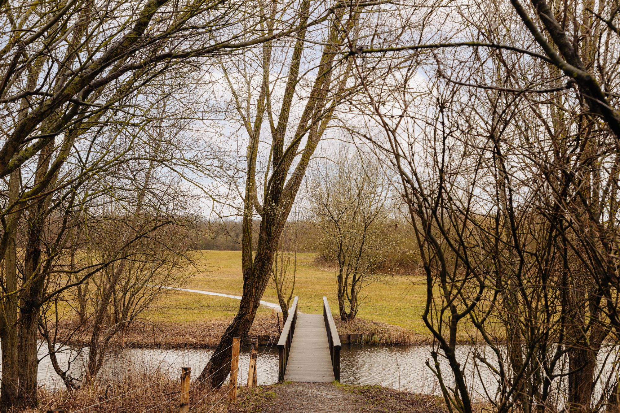 Foto 39 van Van Wijnbergenlaan 6