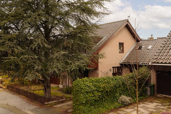 Van Wijnbergenlaan 6 main image