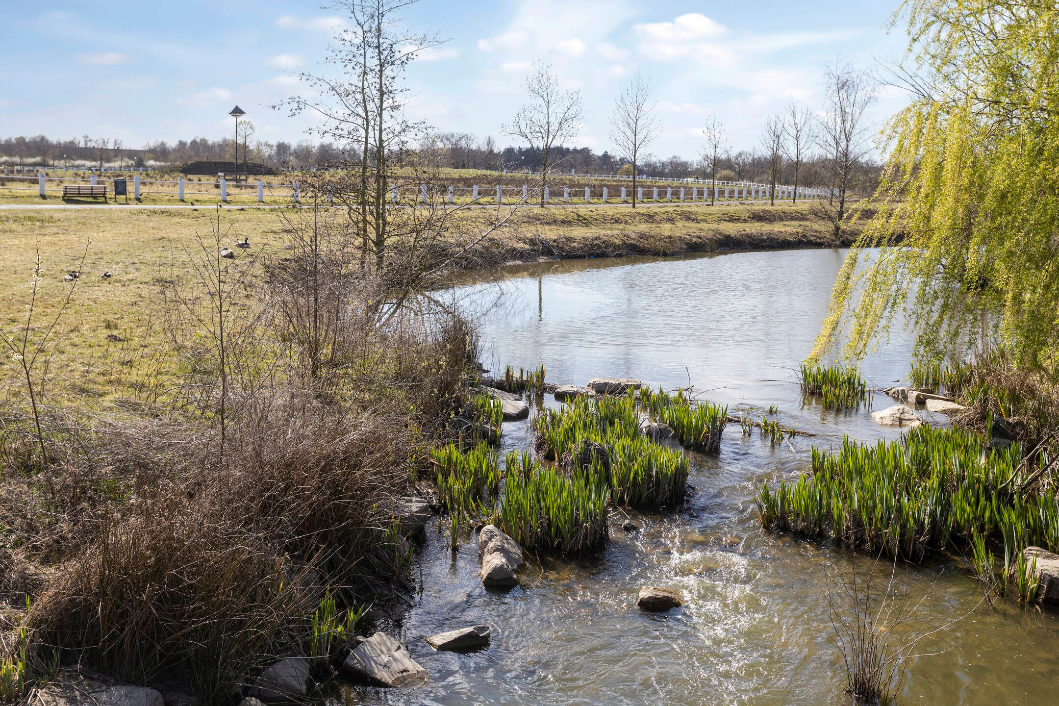 Foto 36 van Meerplein 52