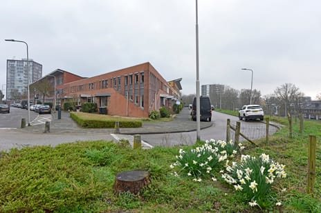 undefined main image