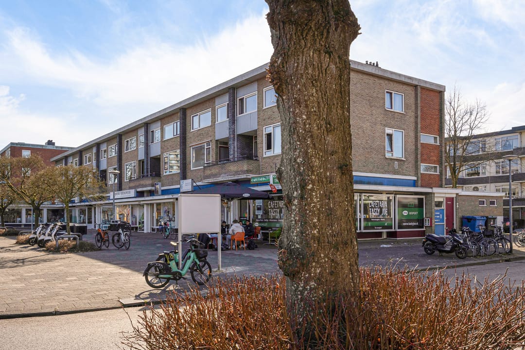 Photo 43 of Van Schendelstraat 56