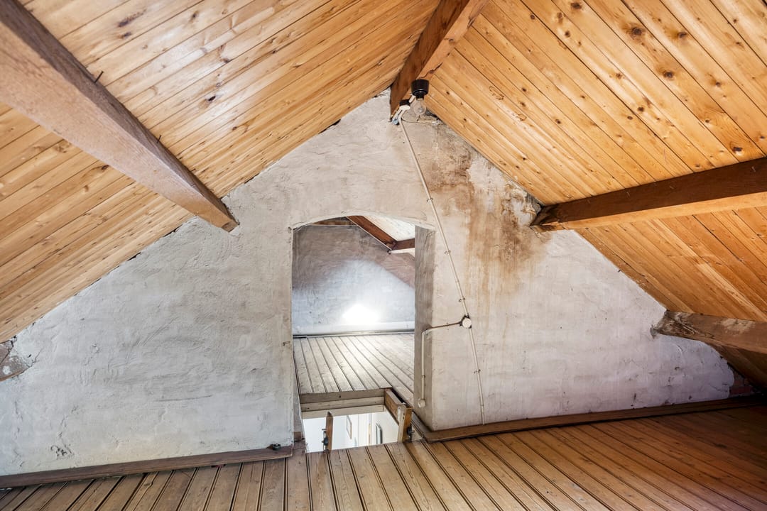 Photo 32 of Antoniusstraat 11