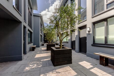 Lange Herenvest thumbnail