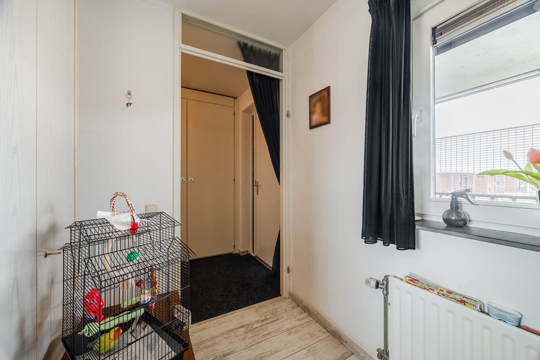 Foto 16 van Schipluidenlaan 14