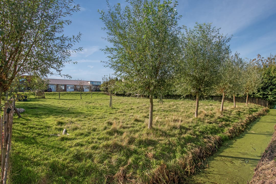 Photo 37 of Wilgenweg 11
