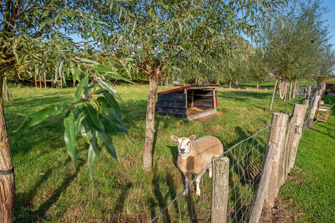 Photo 41 of Wilgenweg 11