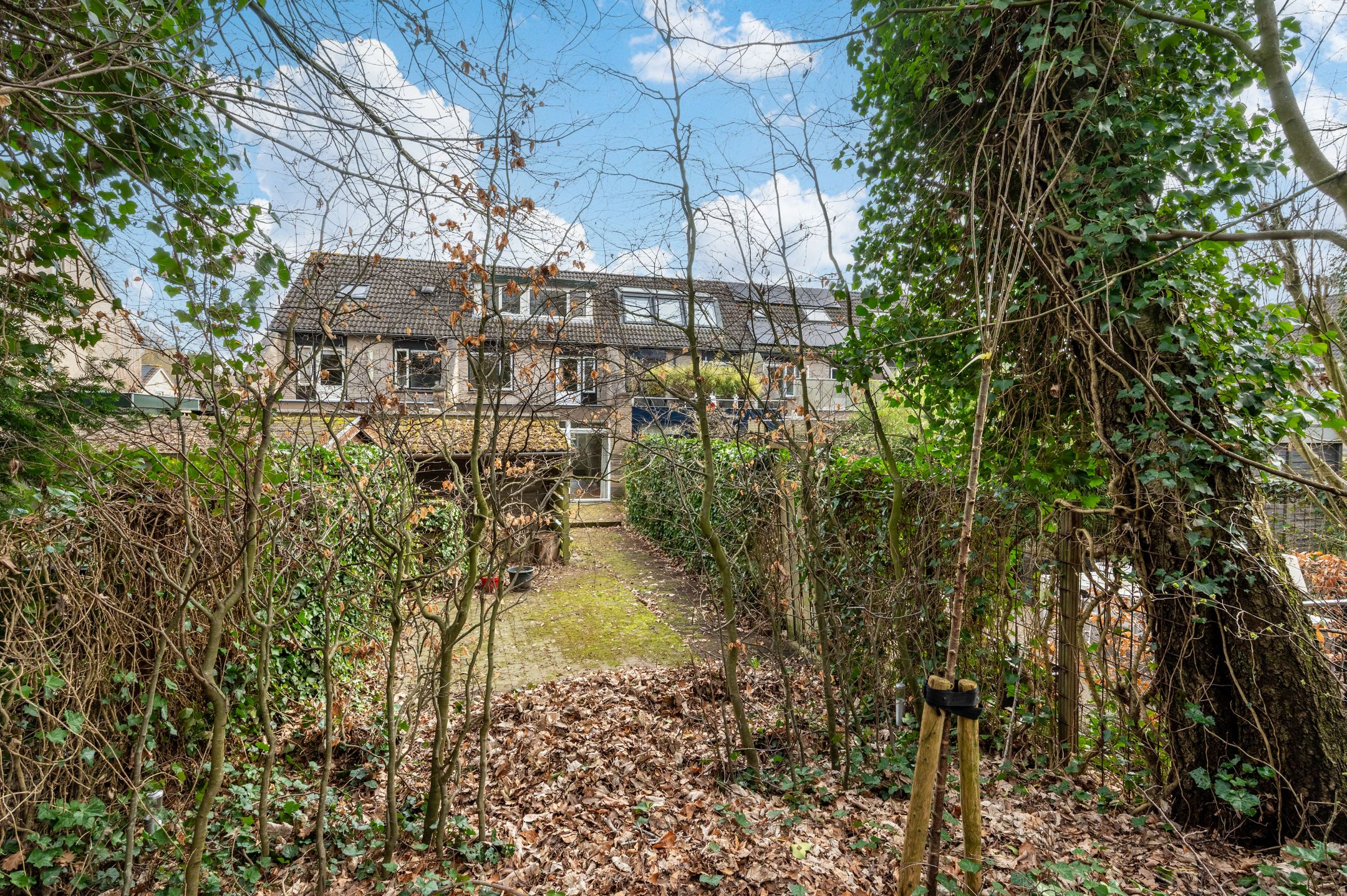 Foto 24 van Zuster Klijnstralaan 81