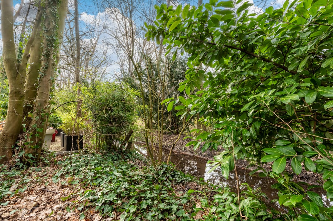 Foto 26 van Zuster Klijnstralaan 81