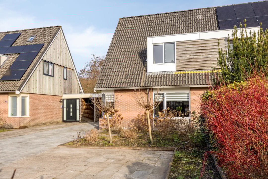 Foto 7 van Kuifmees 19