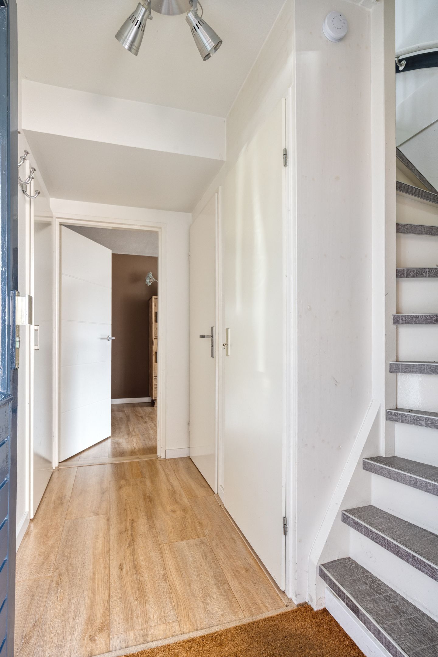 Foto 10 van Kuifmees 19