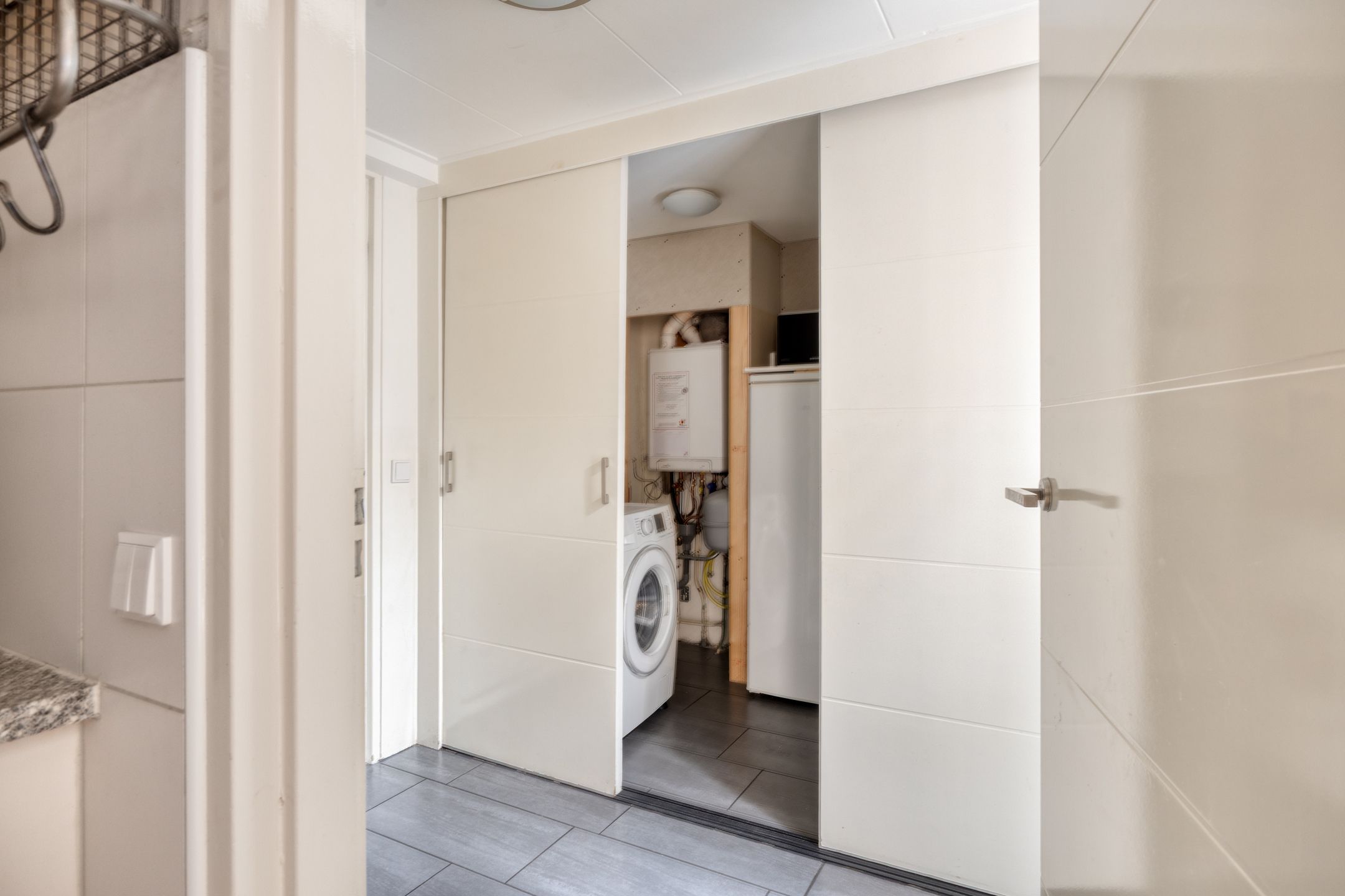 Foto 24 van Kuifmees 19