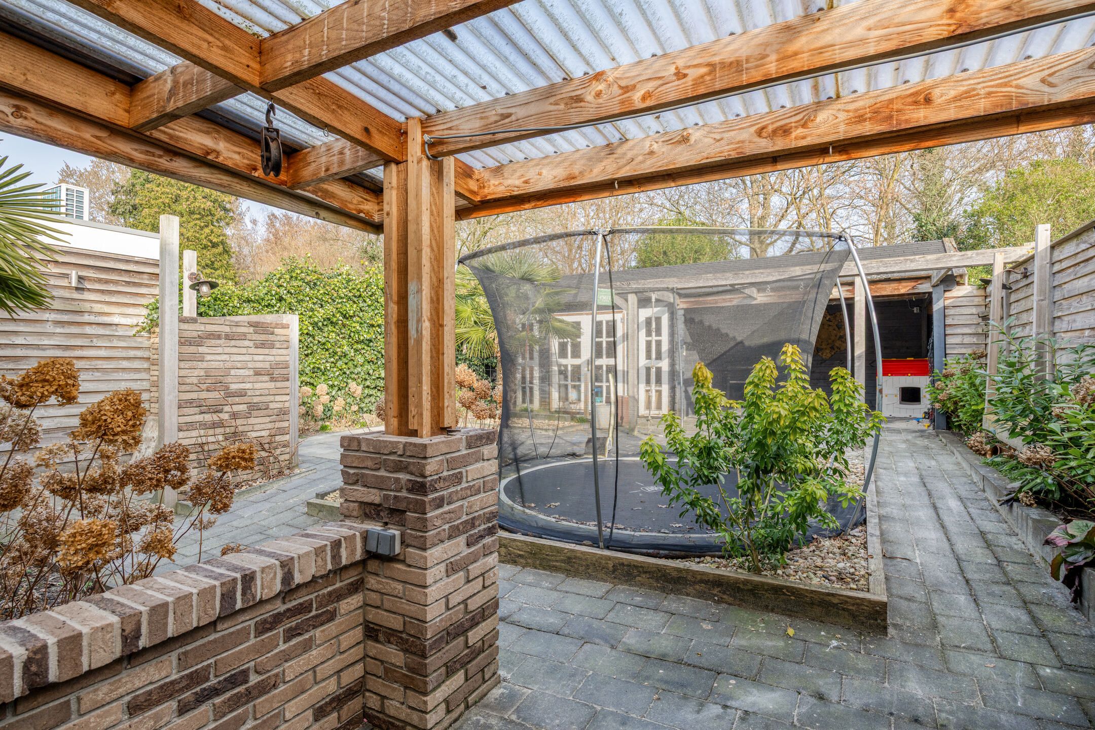 Foto 36 van Kuifmees 19