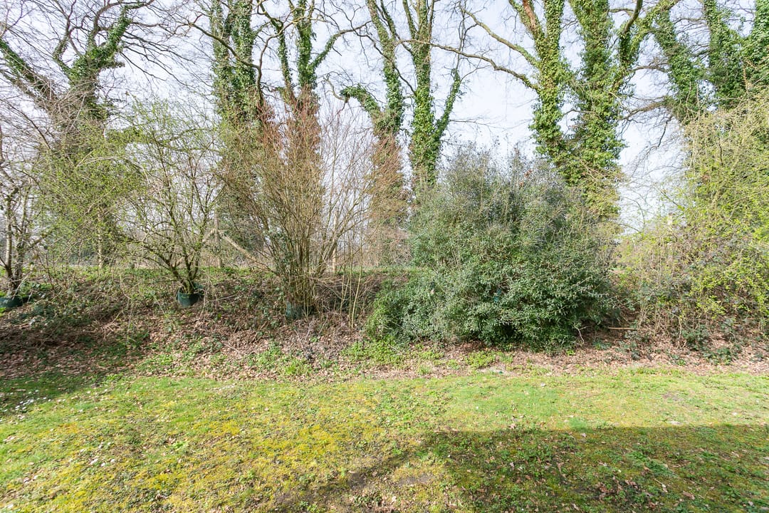 Foto 32 van Schout van Heeckerenring 61