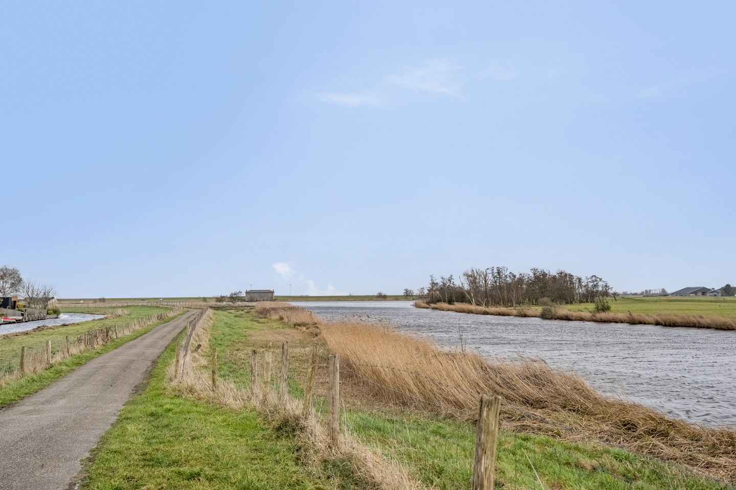 Photo 44 of Bereklauw 1