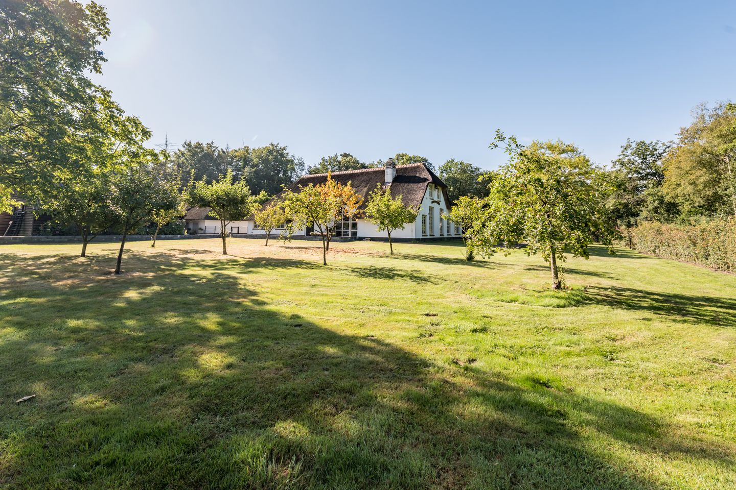 Unique Farmhouse with Versatile Outbuildings and Natural Surroundings — 52