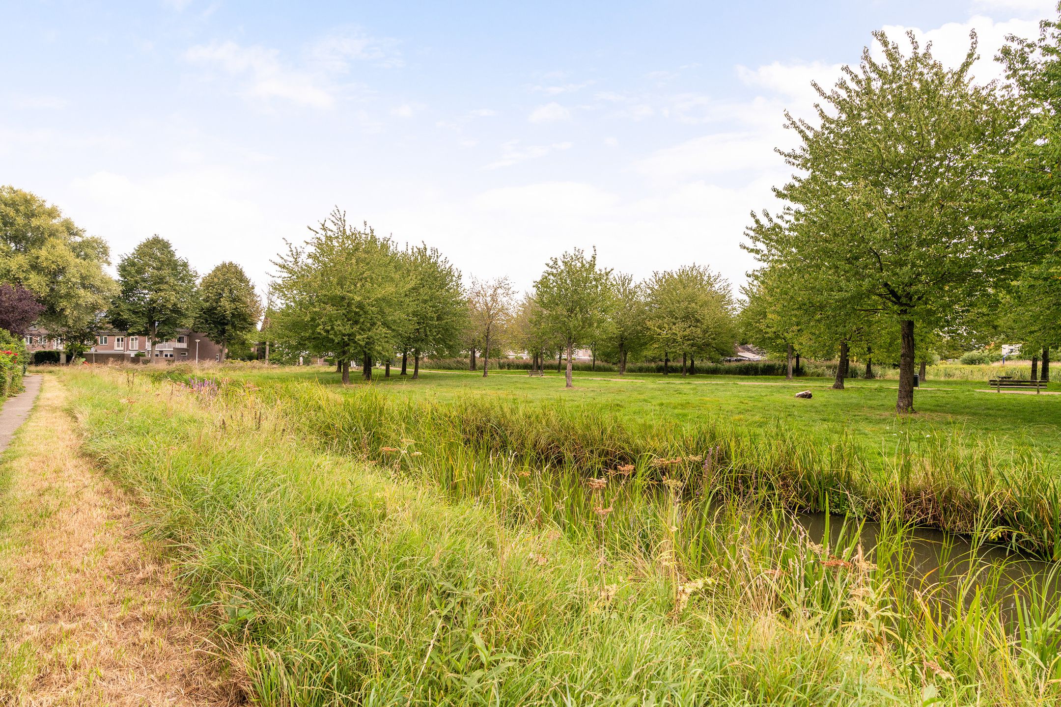 Foto 45 van Cubalaan 52