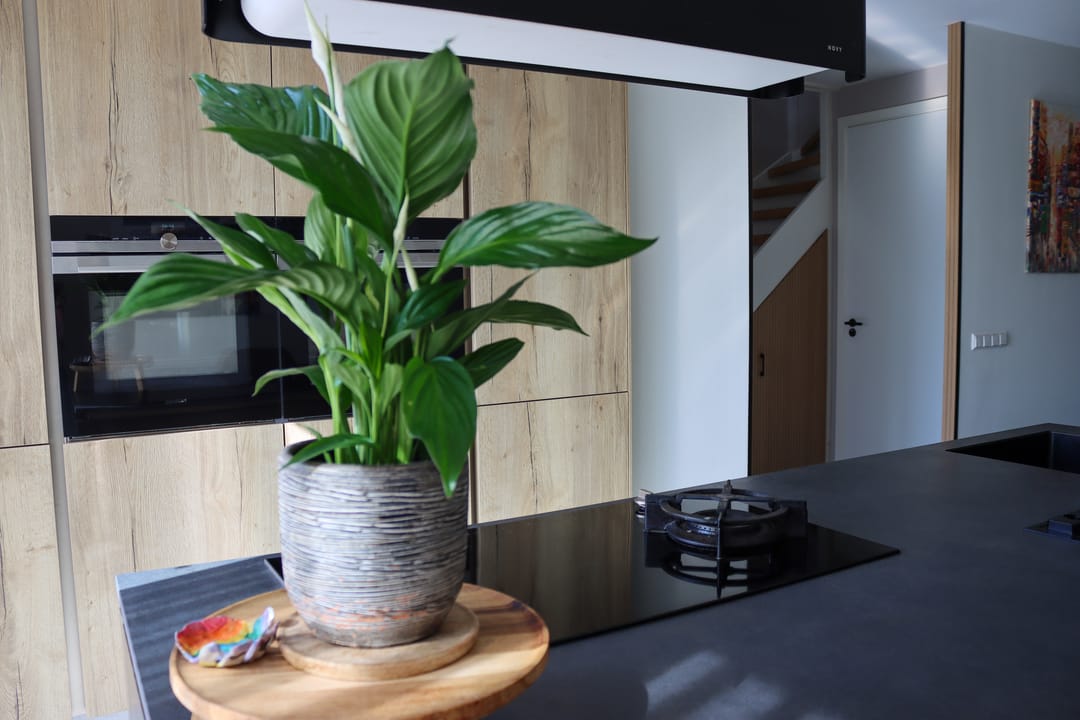 Foto 7 van Kamelenburg 44