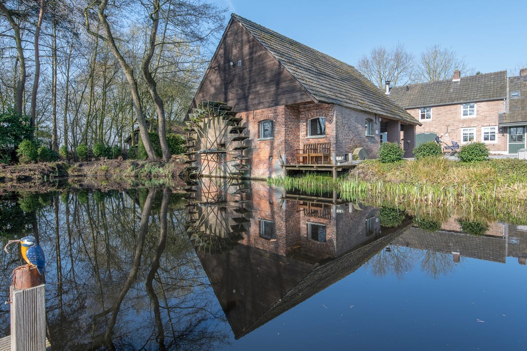 Photo 7 of Stevert 35