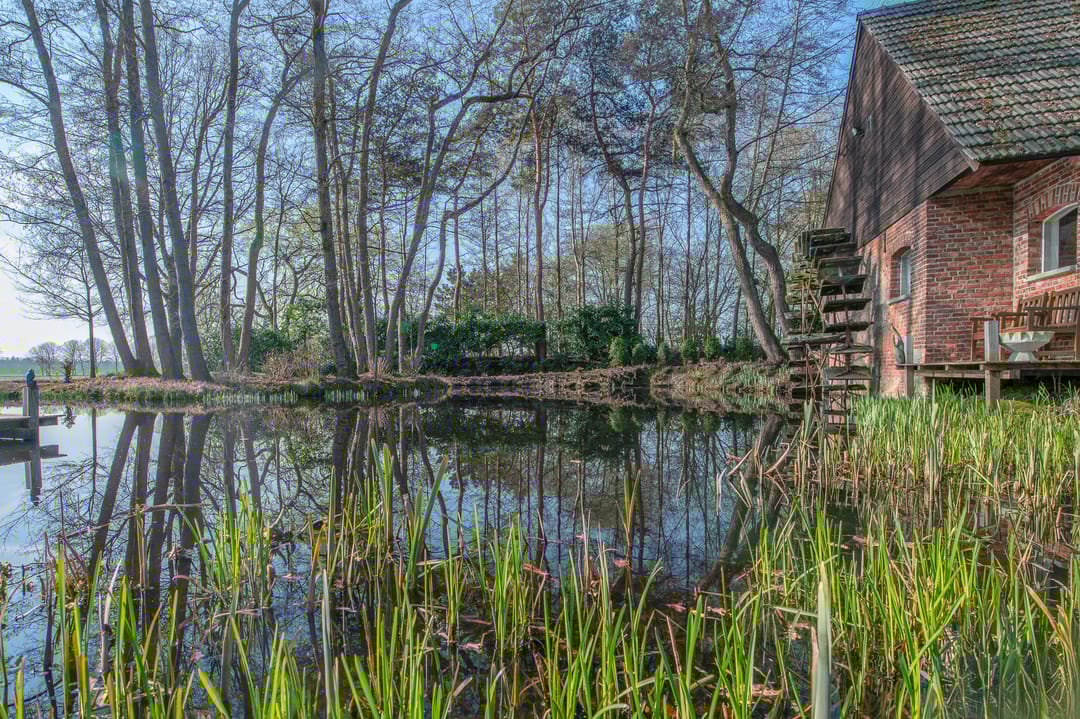 Photo 8 of Stevert 35