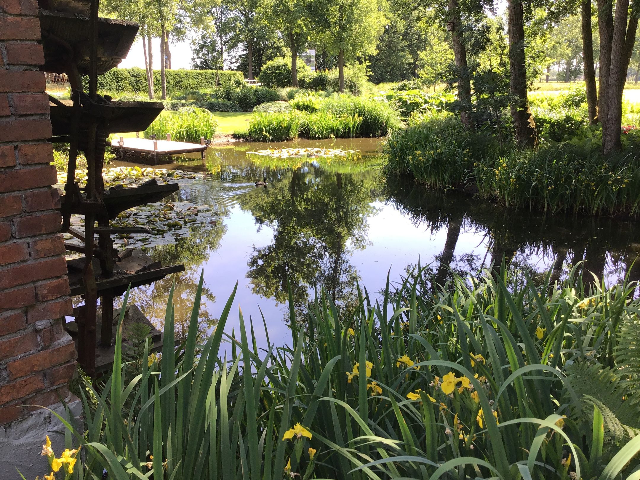 Photo 6 of Stevert 35