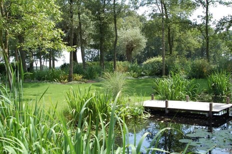 Stevert 35 tertiary image