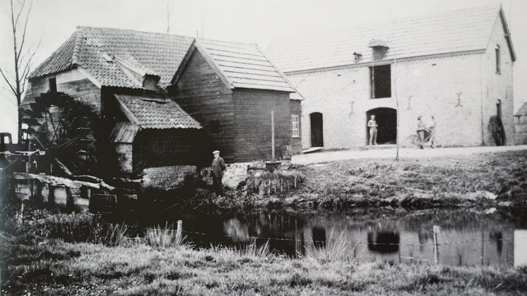 Photo 47 of Stevert 35