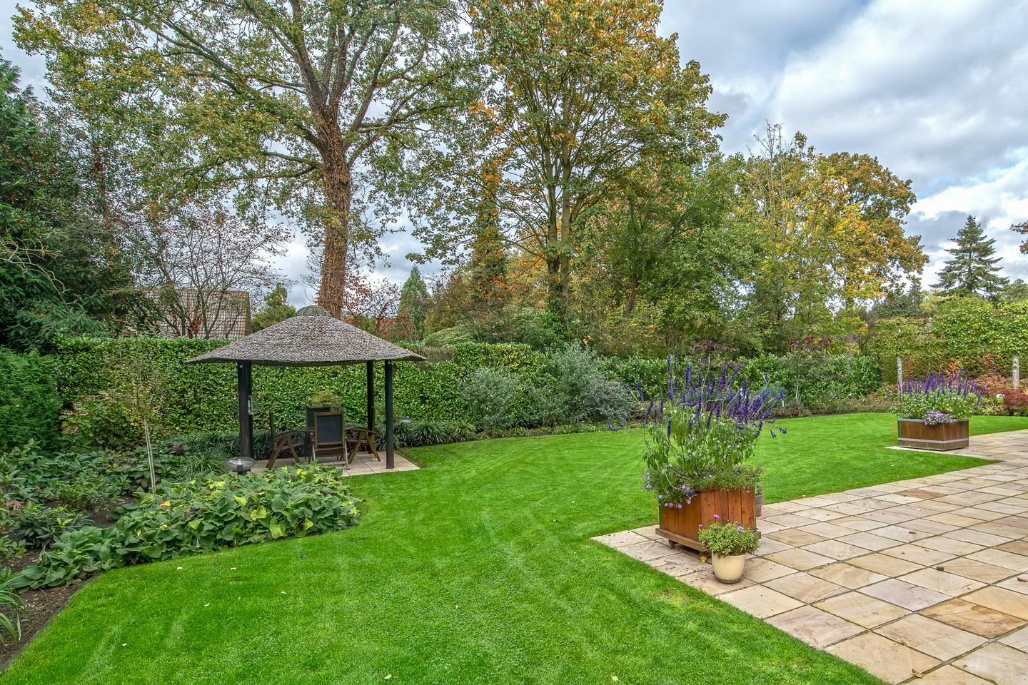 Photo 49 of Stevert 35