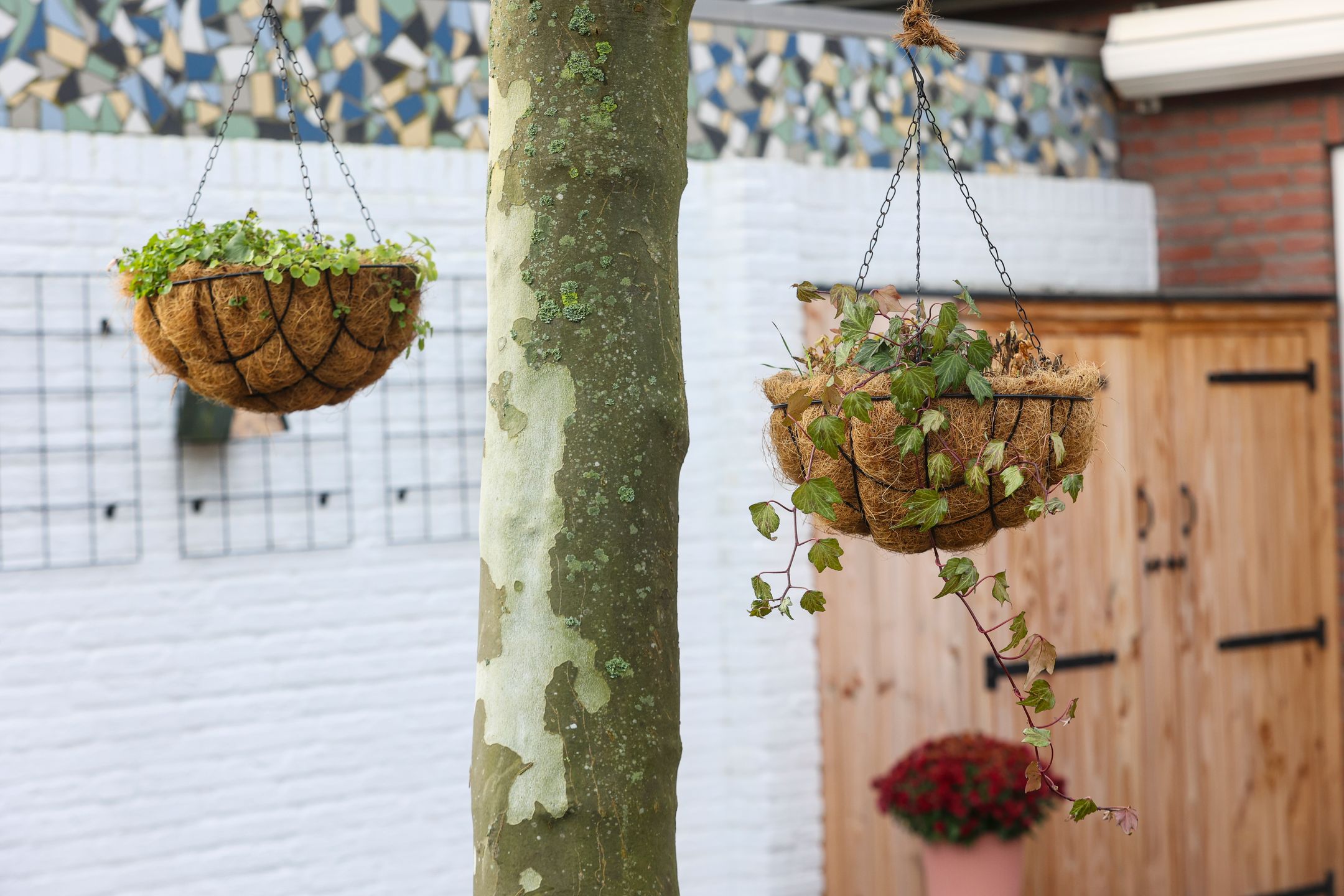 Photo 21 of Hein Meijerstraat 13