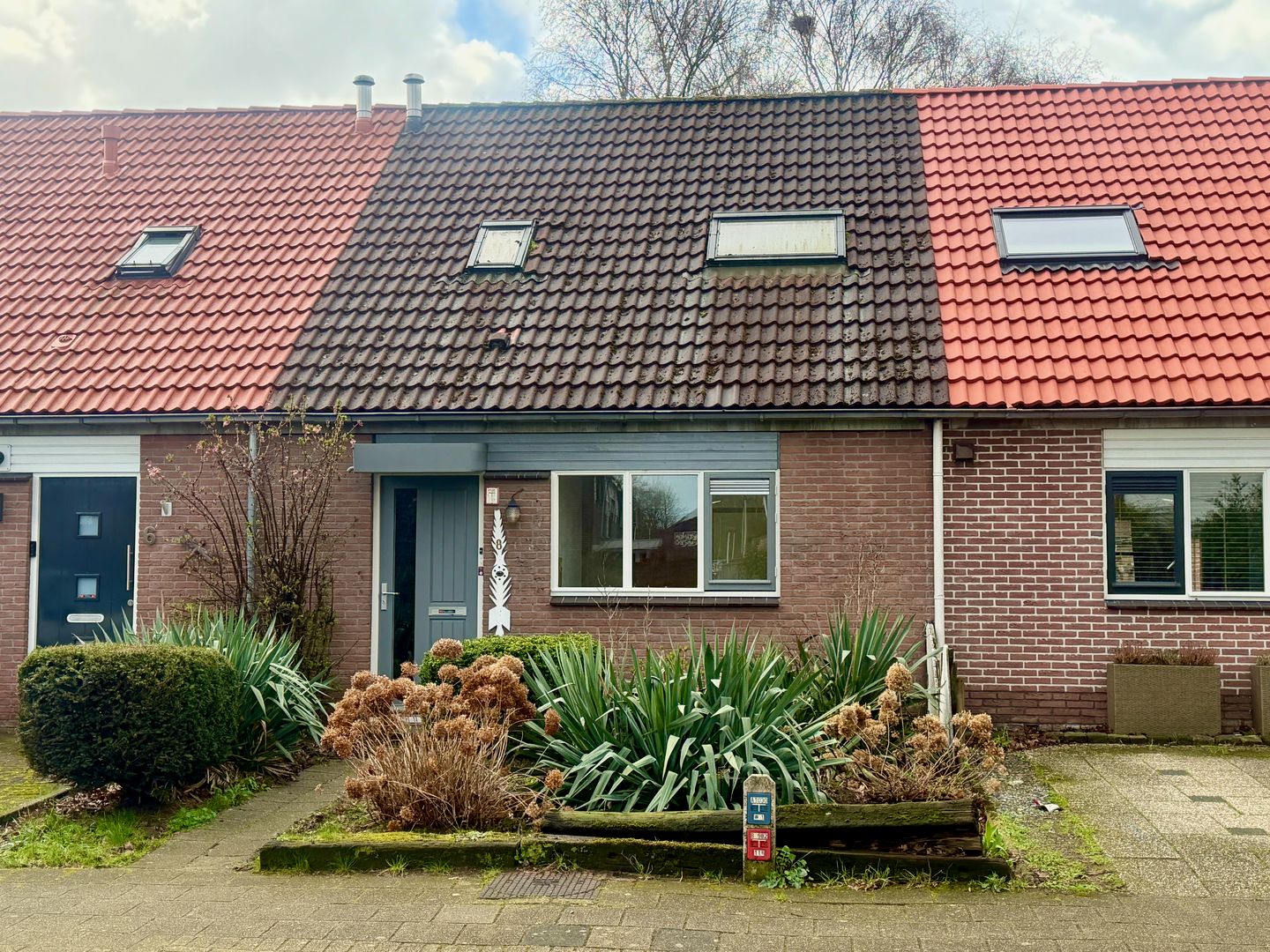 Foto 1 van De Bonte Specht 8