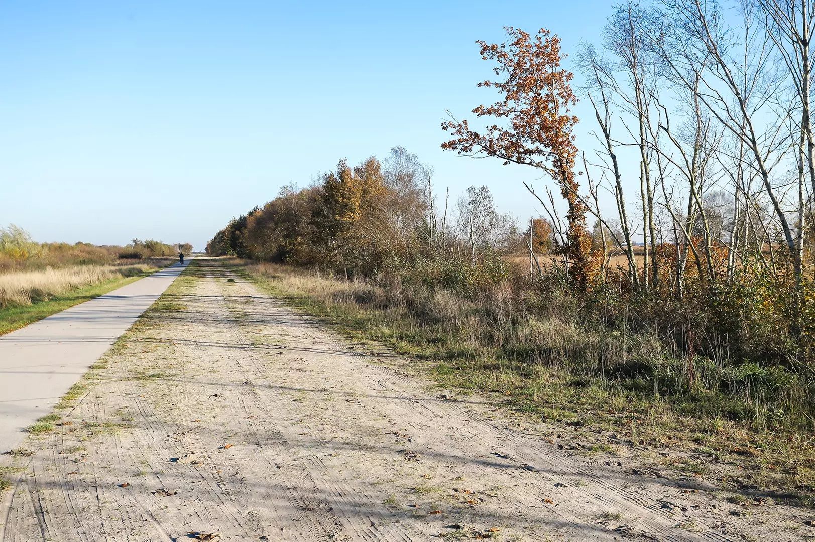 Foto 66 van Weth. G.H. Scherpenlaan 41