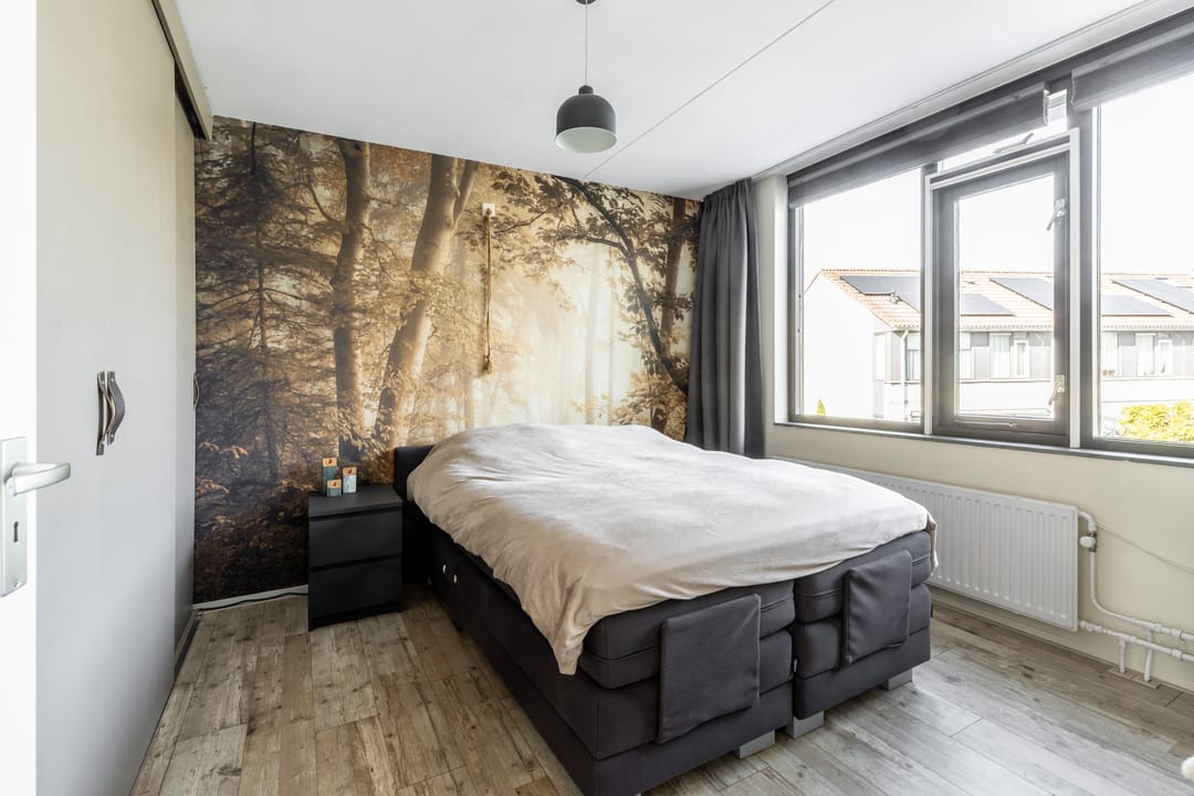 Foto 17 van Goudrenet 10