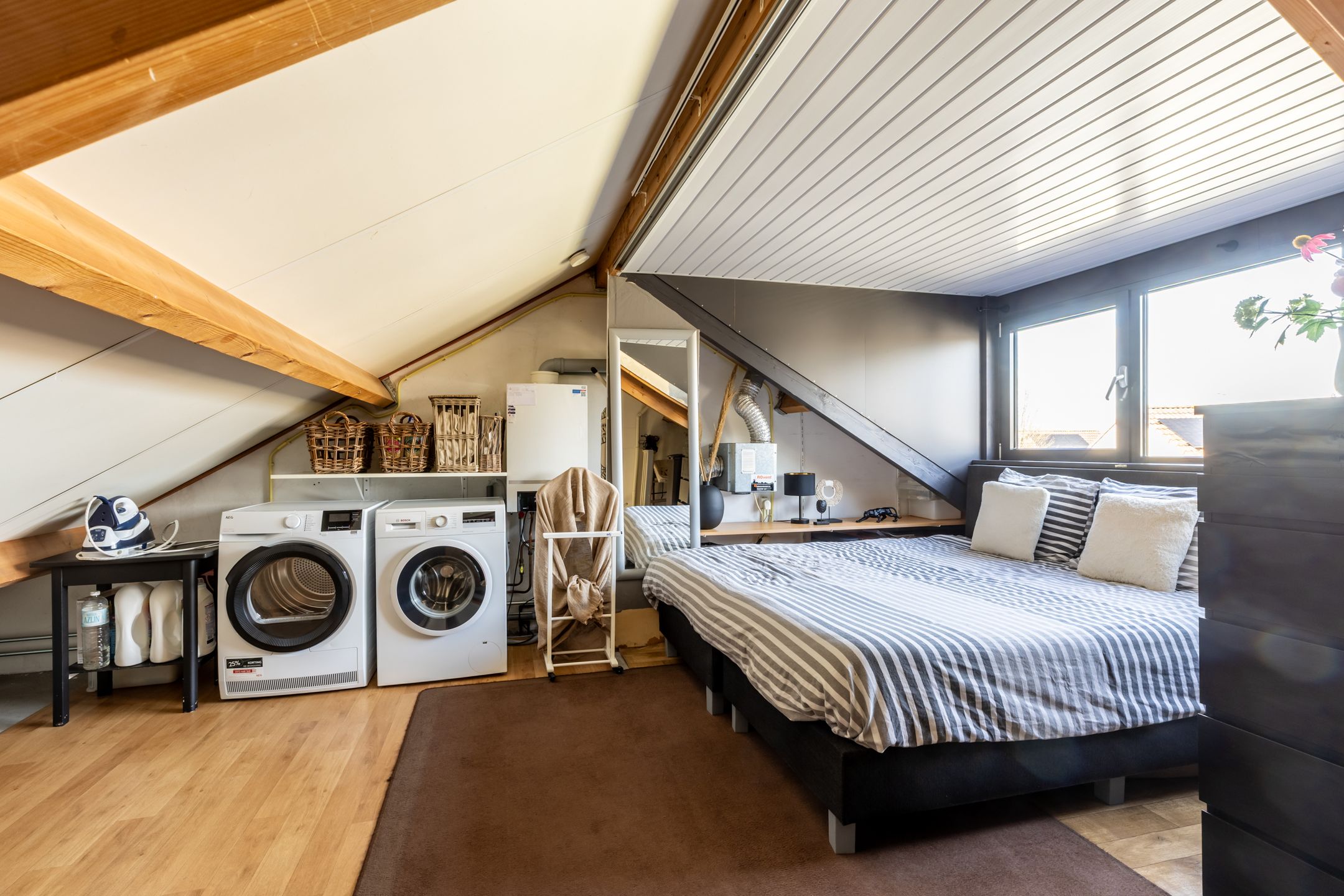 Foto 24 van Goudrenet 10