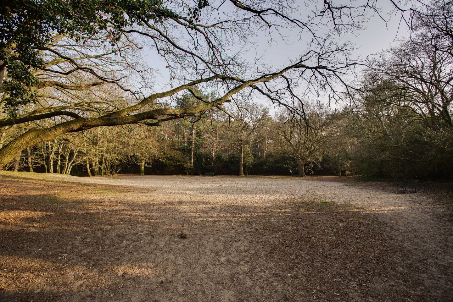 Foto 65 van Hogeweg 4